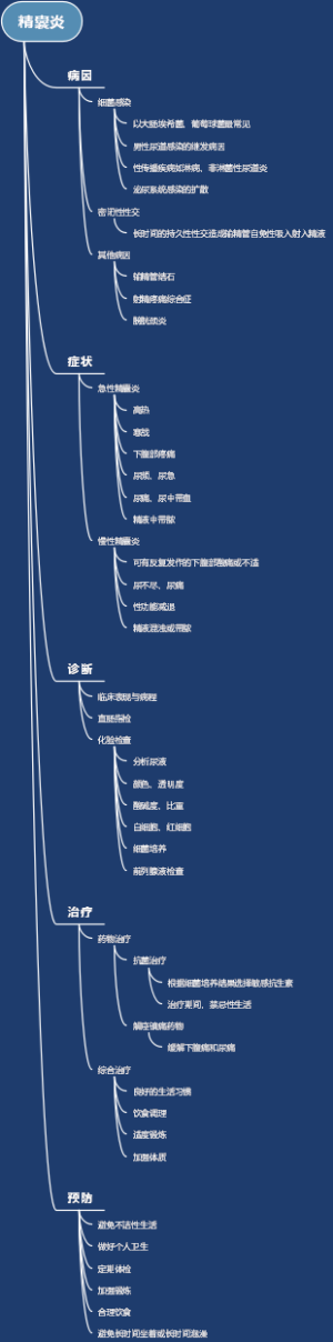 精囊炎