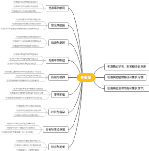 冬凌草