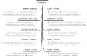铃兰的作用