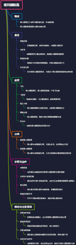 视网膜脱离