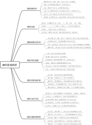 眼科基础知识