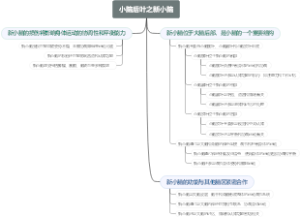 小脑后叶之新小脑