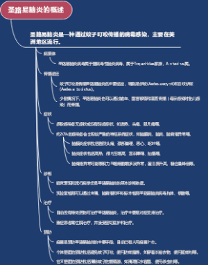 圣路易脑炎的概述