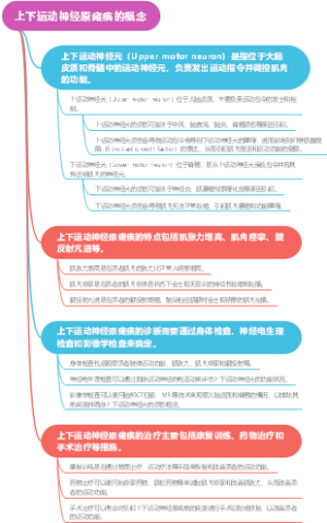 上下运动神经原瘫痪的概念