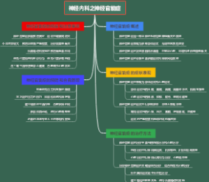 神经内科之神经官能症