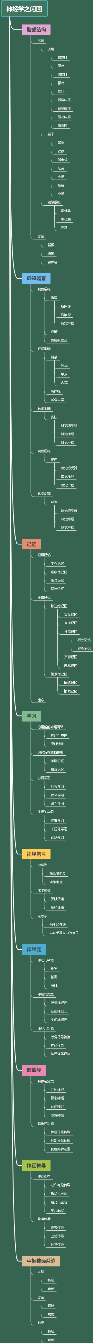 神经学之闪回
