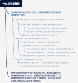 什么是周围神经