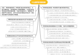 什么是罗索利莫反射