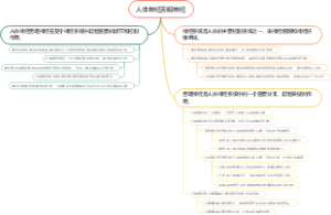 人体神经舌咽神经