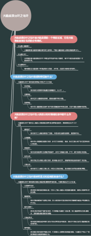 大脑皮质分叶之岛叶