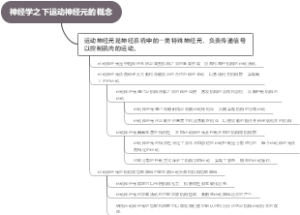 神经学之下运动神经元的概念