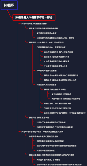 肺循环