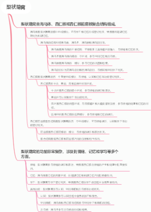 梨状隐窝