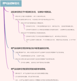 呼气运动神经元