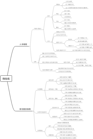 脊柱线