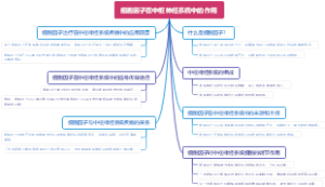 细胞因子在中枢神经系统中的作用