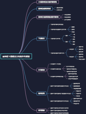 面神经下颌缘支分布的外科解剖
