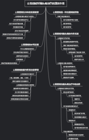 山莨菪碱对偏头痛治疗的增效作用