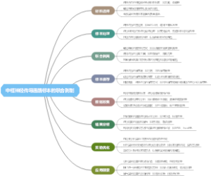 中枢神经传导通路标本的联合剥制