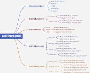 面神经颈支的外科解剖