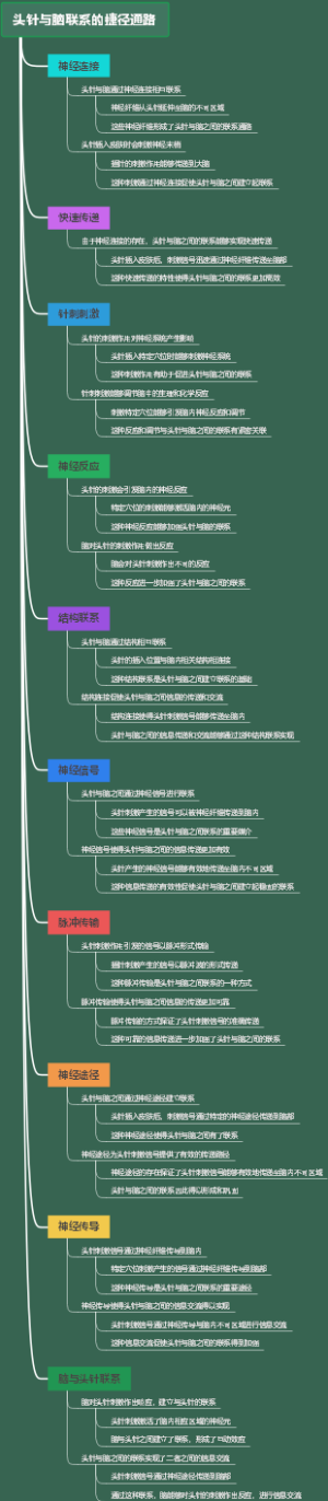 头针与脑联系的捷径通路