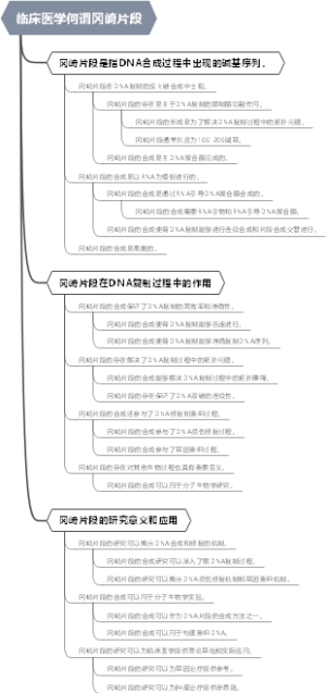 临床医学何谓冈崎片段