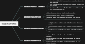 临医医学足球征概述