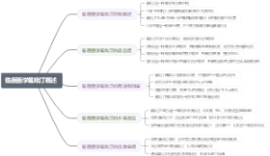 临医医学氟吡汀概述