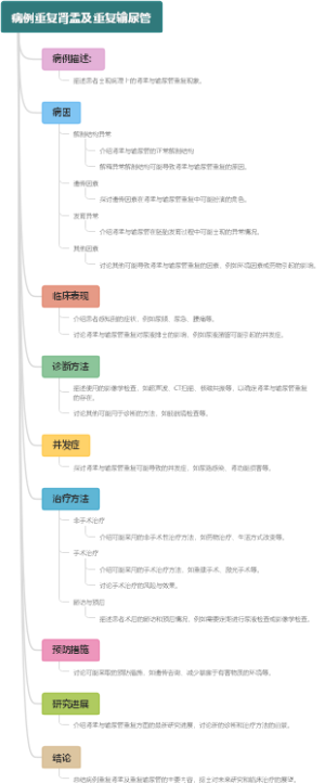 病例重复肾盂及重复输尿管