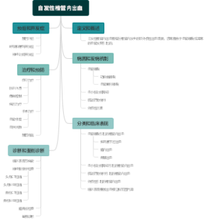 自发性椎管内出血