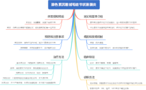 膝色素沉着绒毛结节状滑膜炎