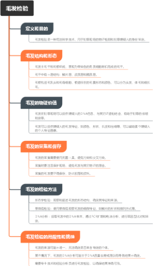毛发检验