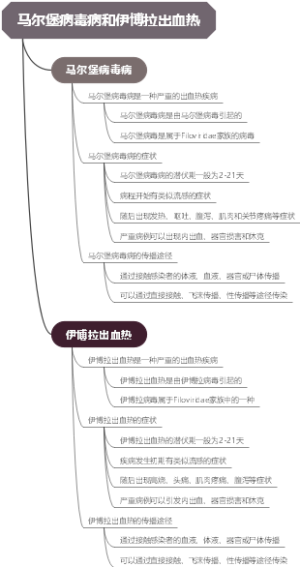 马尔堡病毒病和伊博拉出血热