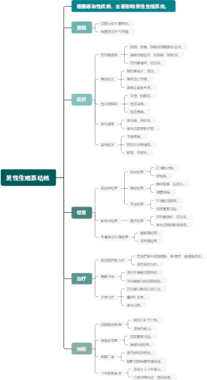 男性生殖系结核