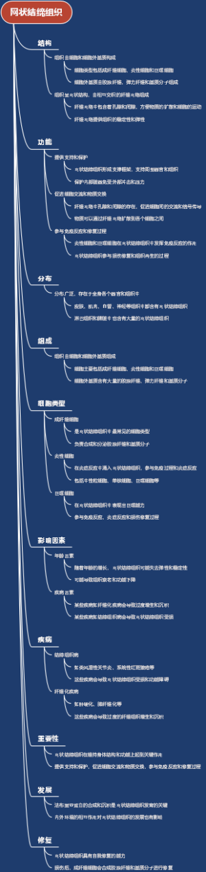 网状结缔组织