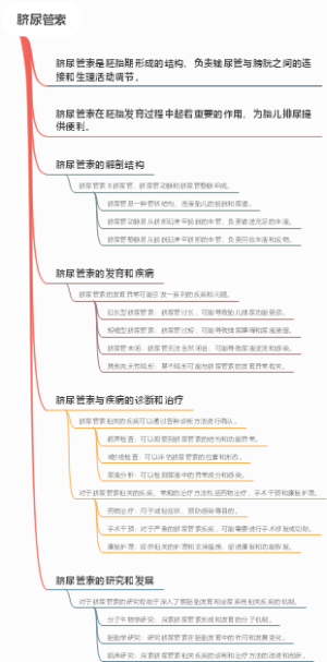 脐尿管索
