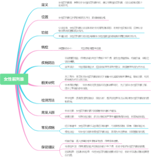 女性前列腺