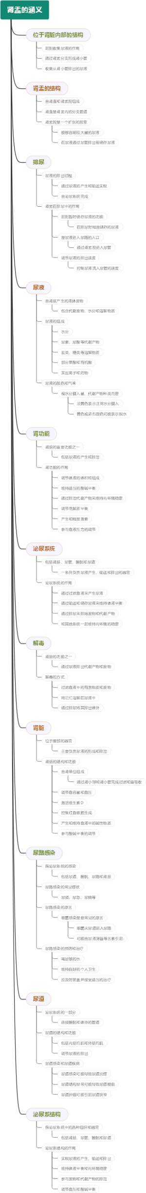 肾盂的涵义