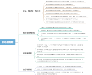 肝母细胞瘤