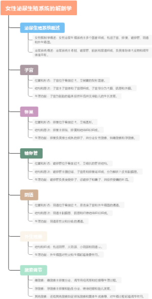 女性泌尿生殖系统的解剖学