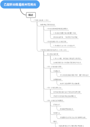 乙型肝炎病毒相关性肾炎