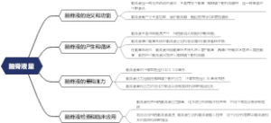 脑脊液量