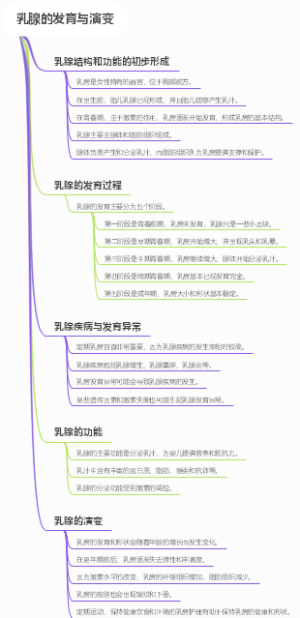 乳腺的发育与演变