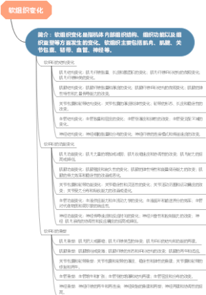 软组织变化