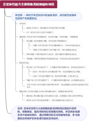 正常淋巴结内主要细胞的超微结构特征