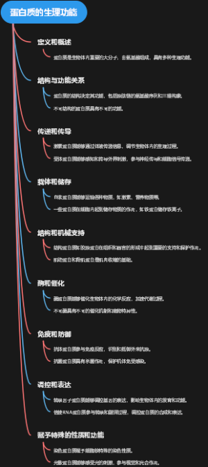 蛋白质的生理功能