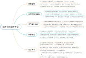 北方拉拉藤的用法