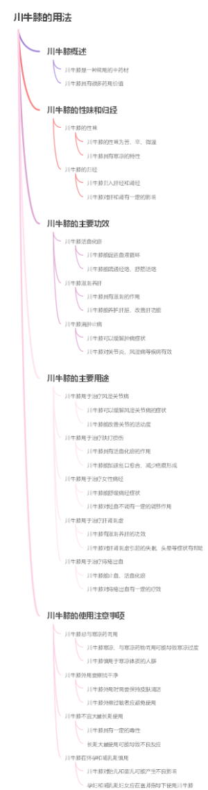 川牛膝的用法