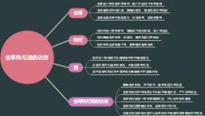 虫草枸杞酒的功效