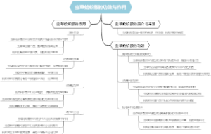 虫草蛤蚧散的功效与作用